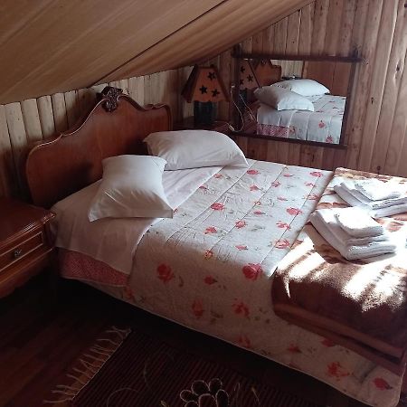 Sitio Cabanas Da Lu 卡内拉 外观 照片