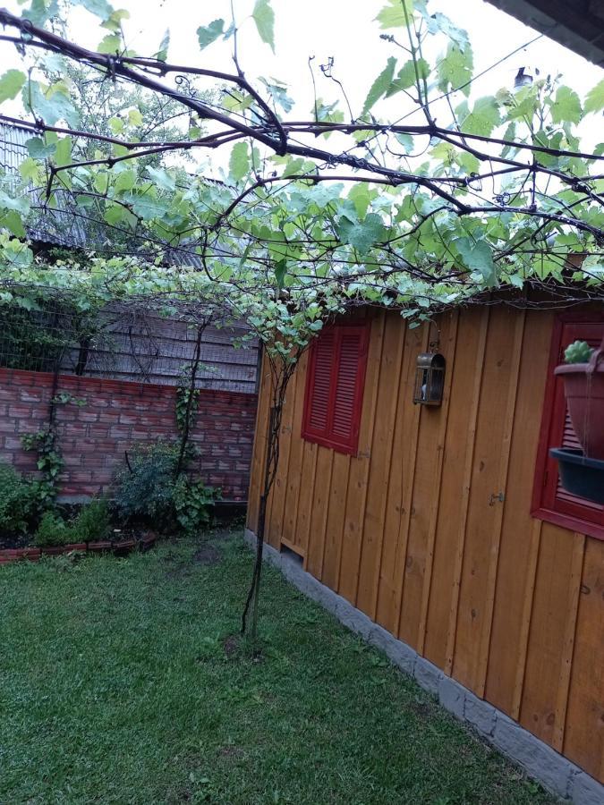 Sitio Cabanas Da Lu 卡内拉 外观 照片
