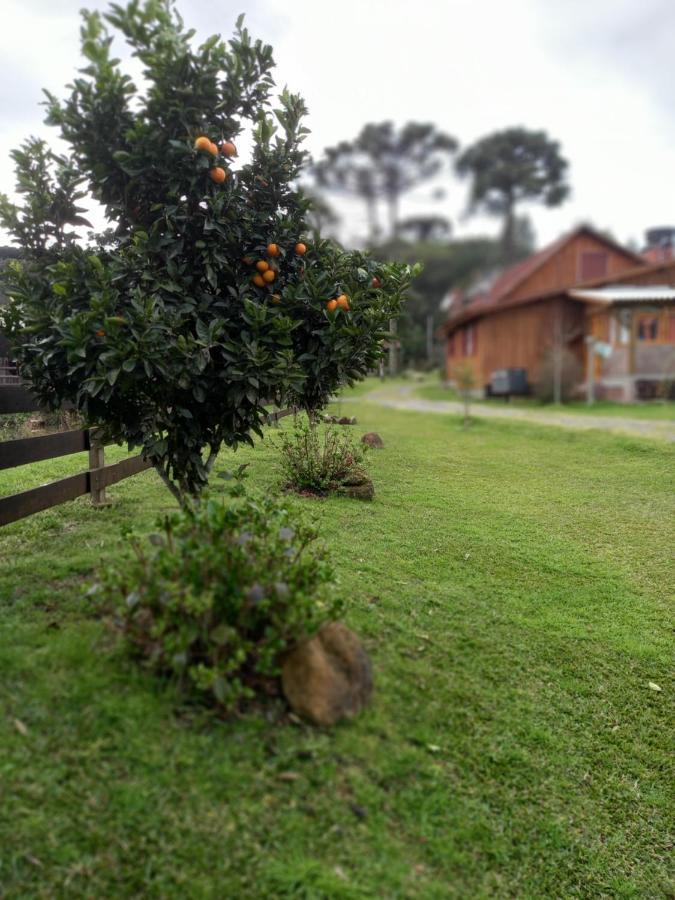 Sitio Cabanas Da Lu 卡内拉 外观 照片